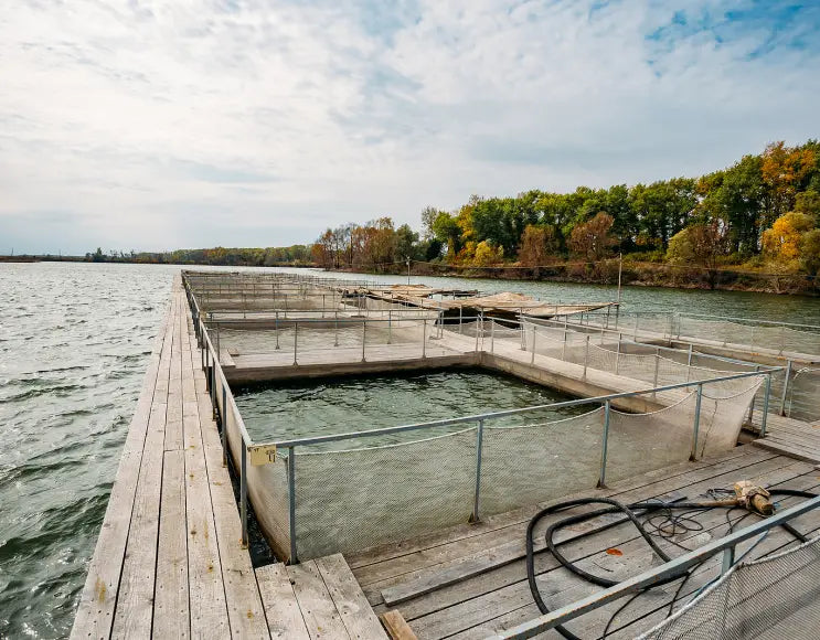 SQUARE CAGES FOR AQUACULTURE AND FISH FARMING